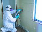 ServiceMaster Mold Remediation