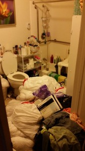 Hoarding Cleanup - before