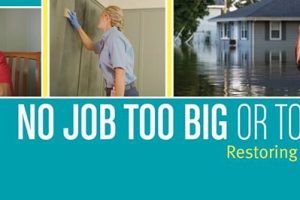 Dealing with Sewer Backup – Do’s and Don’ts