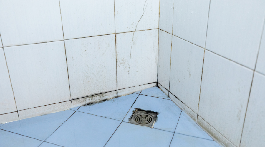 mold in shower grout