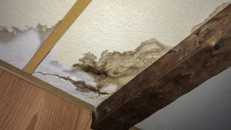 Reacting to Water Damage of Your Hardwood Floor