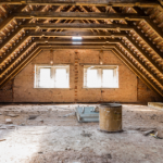 Is attic mold removal a DIY job