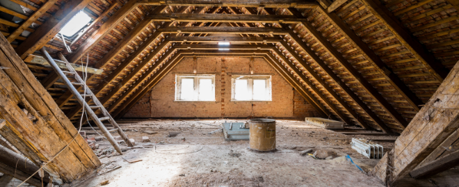 Is attic mold removal a DIY job