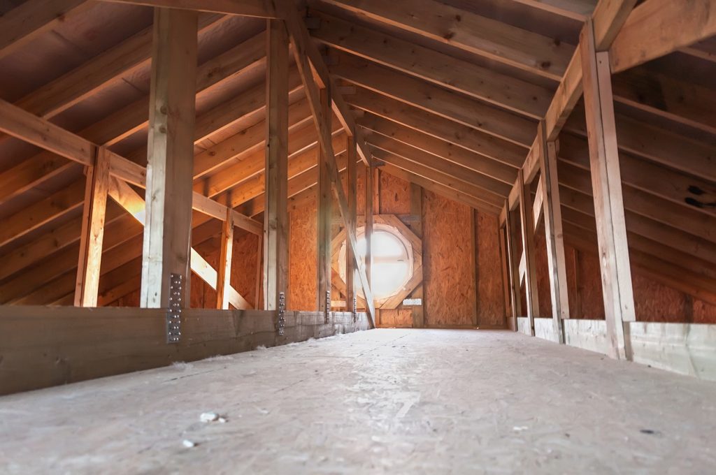 remove mold from attic plywood