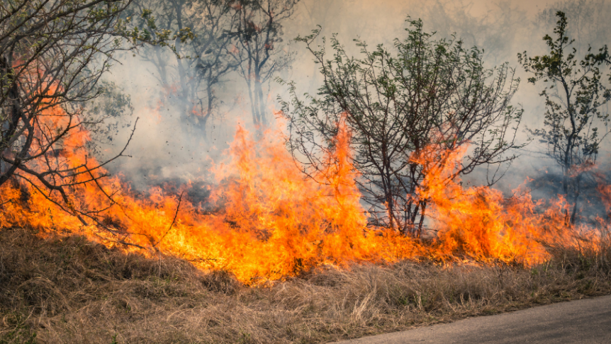 How to Protect Your Home from Wildfires