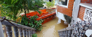 Sewage Backups and Water Damage Cleanup Services - Palo Alto, CA