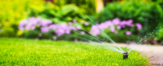 install a Sprinkler System