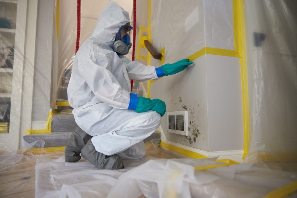 Mold removal by ServiceMaster