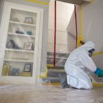 Mold Remediation Services – Cupertino, CA