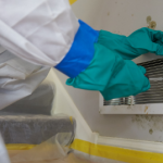 Mold Remediation and Removal Services for San Mateo, CA