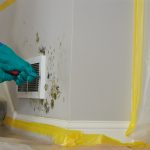 Mold Remediation and Removal Services – Palo Alto, CA