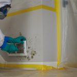 Mold Remediation – Foster City, CA