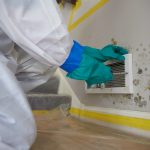 Physical Signs of Mold in Your Home