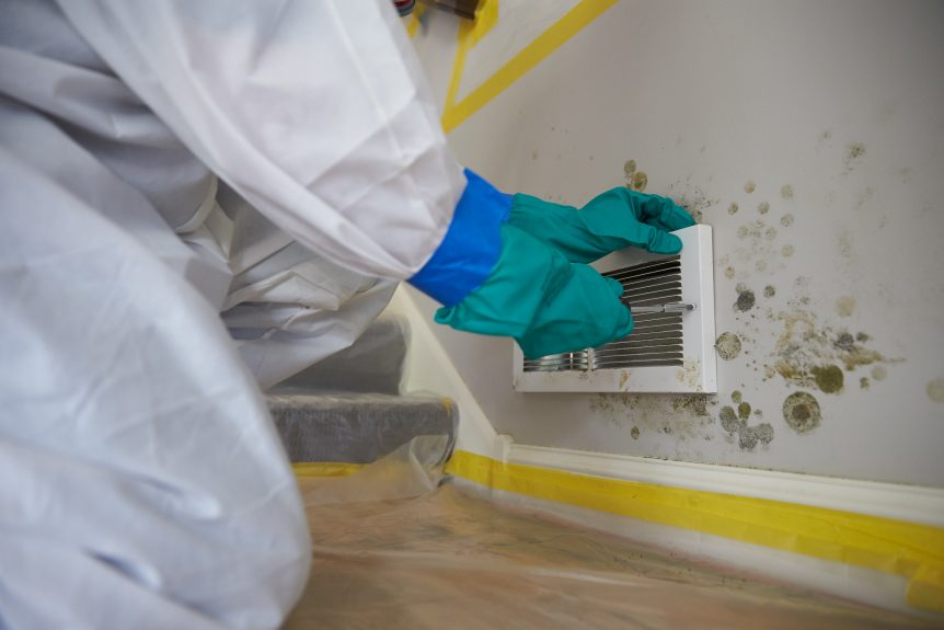 Mold Removal Services for Sunnyvale, CA