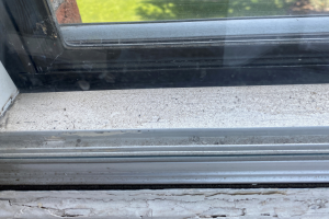 How to Remove Green Mold from Windowsills