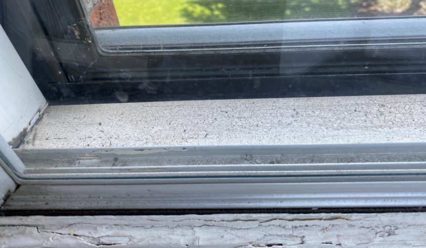 Mold from Windowsills