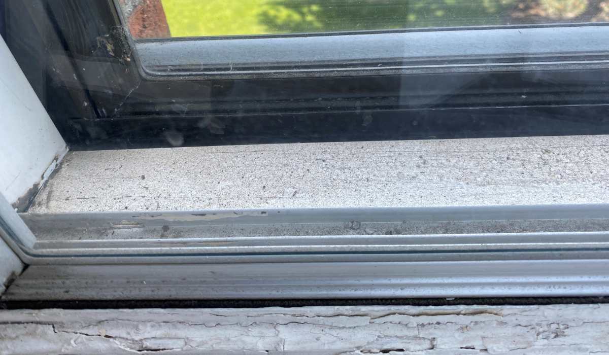 How to Clean Mold from Window Sills - Advantage Pro Services
