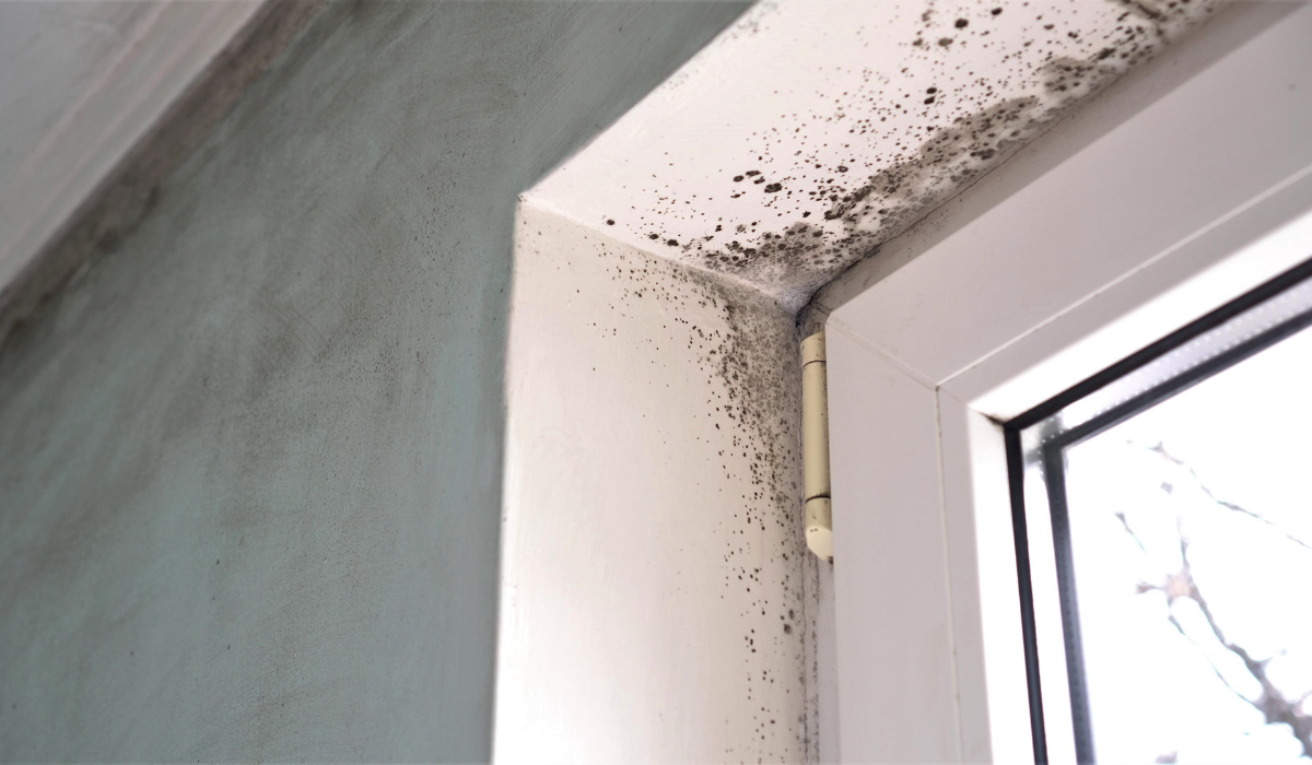 How to Clean Mold from Window Sills - Advantage Pro Services