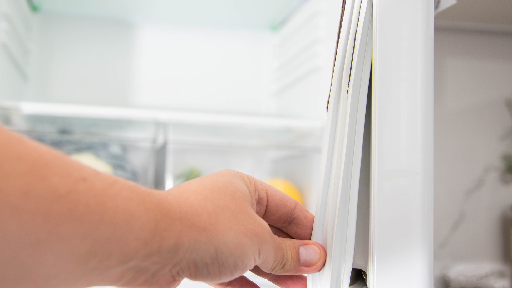 Replacing the torn sealing rubber on the refrigerator door with a new rubber.