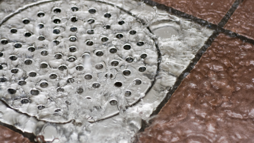 water floating on shower drain