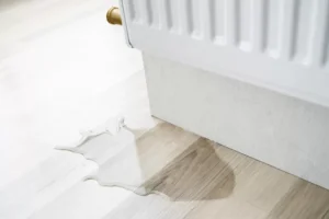 Why San Francisco Homes are Prone to Water Damage