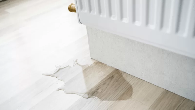 Why San Francisco Homes are Prone to Water Damage